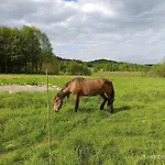 Jura - Pod Grodziskiem Panskim 別荘